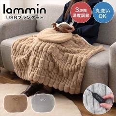 USB�u�����P�b�g �d�C�Ђ��|�� �u�����P�b�g �d�C�ѕz ���^ ���������O�b�Y �₦���΍� �ӂ�ӂ� �{�A �|�P�b�g�t�� �􂦂� �d�C �q�[�^