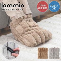 USB �t�b�g�E�H�[�}�[ ������ �d�C ���� ���������O�b�Y �₦���΍� �ӂ�ӂ� �����q�[�^�[ �􂦂� �t�b�g�q�[�^�[ �R���p�N�g �N�b�V��