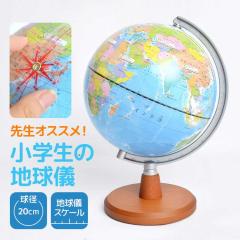 �n���V �q���p �q�� ������ ���w�Z�̒n���V �Ђ炪�� �搶�I�X�X�� 20cm ���C���C���� �w�K ���� �w�Z �׋� ���R���� ���w�j�� OYV11 �s