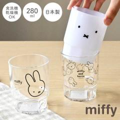 �X�^�b�L���O�J�b�v �R�b�v ����Ȃ� �H��@�Ή� �~�b�t�B�[ miffy �L�����N�^�[ ���킢�� ������� �N���A�J�b�v �q�� ���̎q ���� ���{