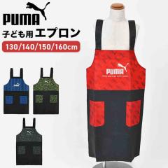 �G�v���� �L�b�Y PUMA �v�[�} �j�̎q ���w�� �q�� ���Ԃ邾�� 130 140 150 160 cm �|�P�b�g �������� �|���G�X�e��100% �􂦂� �V���v�� 