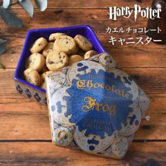 �L���j�X�^�[ �n���[�|�b�^�[ Harry Potter SAN4620 �J�G���`���R���[�g �ۑ��e�� ���َq���� �W�t�� �R�[�q�[ �g�� �H�� ���� �L�b�`�� 