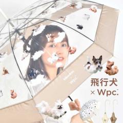 P fB[X wpc s WvP rj[P P JP ԃu   P JP 60 61 cm 킢   N