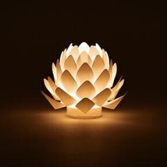 E/J} aOrigami-Lite @ XS #S7681-00-03