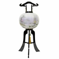 �s�� �~�� ���傤���� �{�h�� 12�� �� ��d �����^�b�` ���� 1��