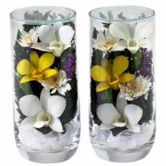 �s�� �~�� ���傤���� �v���G�[�� MAB ��� #7985