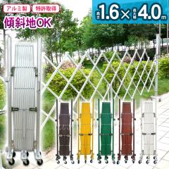  tFX A~Q[g EXG1540 1.5 6.0 A}bNX LX^[Q[g Lk AR[fBI zd J[ 