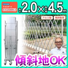  tFX A~Q[g EXG2040 2.0 4.5 A}bNX LX^[Q[g Lk AR[fBI zd J[ 