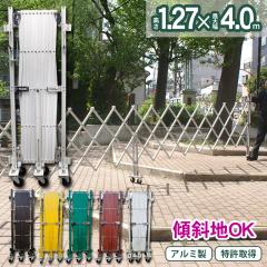  tFX A~Q[g EXG1240 1.2 4.0 A}bNX LX^[Q[g Lk AR[fBI zd J[ 