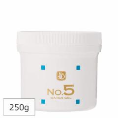 􂤐 J~} No.5 EH[^[Q ێpbN 250g