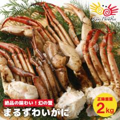 ܂邸킢 tr 2kg id2.5kg) {C 󂠂 k ZNV  Ă 3lO ` 4lO  Jj I  蕨 M