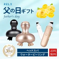 RELX v~AZbg wbhXp EH[^[s[O  duV Y fB[X eƓd NObY  v