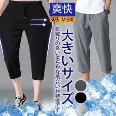 n[tpc Y V[gpc ⊴pc ڐG⊴ Ђ Zp ݖh~ n 傫TCY z ^ A