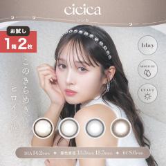 �y�������p�z cicica �V�V�J(1��2������)( �������� �J���R�� �J���[�R���^�N�g �x���� �x�Ȃ� ���C�X�g UV�J�b�g ���̊� )