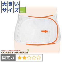 �傫�ȃT�C�Y �ی�p�b�v���\�t�g100(LL)