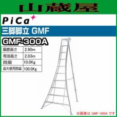 sJ(pica) A~Orr GMF-300A llzs