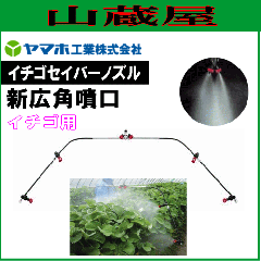 �����p���� ���}�z �����p���� (�m�Y��) �C�`�S�Z�C�o�[�m�Y�� �V�L�p����