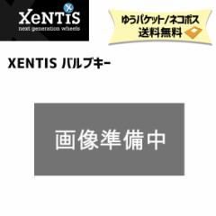 XENTIS [eBX ouL[ ] 䂤pPbg/lR|X