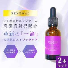 フェイスクリーム ヒト幹細胞 エクソソーム 高保湿 ハリ うるおい