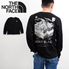�m�[�X�t�F�C�X T�V���c �����Y ����T�V���c ����T THE NORTH FACE �o�b�N�v�����g �A�E�g�h�A �u�����h  NF0A89DR