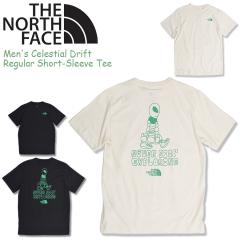 �m�[�X�t�F�C�X T�V���c �����Y ����T�V���c THE NORTH FACE ���ST �o�b�N�v�����g �A�E�g�h�A �u�����h �{�b�N�X���S NF0A8GSG �傫���T