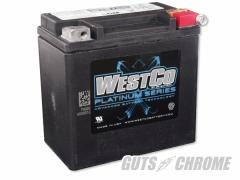 9800-4060 WESTCOobe[ 2004Nȍ~XL OEM 65958-04/WCP14L