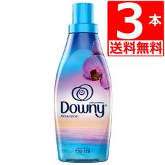 ���L�V�R�_�E�j�[ �A�}�l�Z�� �_��� Downy Amanecer 730ml�~3�{ �������� �ߗ��p�_��� �l�C�̃��L�V�R�_�E�j�[�V���i �}�����m�[�g