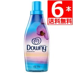���L�V�R�_�E�j�[ �A�}�l�Z�� �_��� Downy Amanecer 730ml�~6�{ �������� �ߗ��p�_��� �l�C�̃��L�V�R�_�E�j�[�V���i �}�����m�[�g