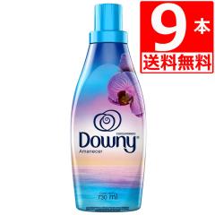 ���L�V�R�_�E�j�[ �A�}�l�Z�� �_��� Downy Amanecer 730ml�~9�{ �������� �ߗ��p�_��� �l�C�̃��L�V�R�_�E�j�[�V���i �}�����m�[�g