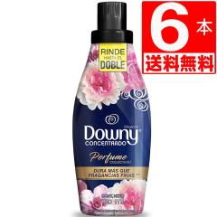 ���L�V�R�_�E�j�[�G���K���X�@�_��܁@Downy Elegance�@750ml�~6�{[��������]�@�ߗ��p�_��܁@�l�C�̃��L�V�R�_�E�j�[��ԏ_��܁@���L�V