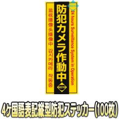 Keiyo-STV100(PC[IWiXebJ[V100Zbg)y4\c^hƃXebJ[zy4ΉhƃV[100Zbgz  
