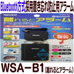 WSA-B1(ƃA[)yh~Eqh~EuYh~CXA[Zbgz yREVEXz y[xbNXz y䂤pPb