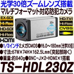 TS-HDL230Z�y���w30�{�Y�[�������Y����1/2�C���`��ƓxHD-SDI/EX-SDI�����Ή��J�����z �y�h�ƃJ�����z �y�Ď��J�����z �y3D Corporation