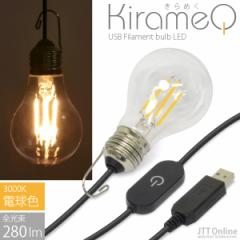 USB d LED Cg g tBg^ @\t KirameQ -߂-idF 3000KjEAEghA ^ Lv