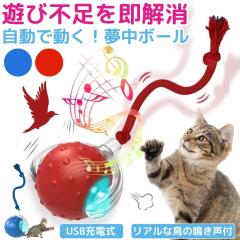 ペットアイ キャットタワー サボテン グレー つめとぎ ツメとぎ 爪とぎ