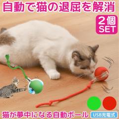 ペットアイ キャットタワー サボテン グレー つめとぎ ツメとぎ 爪とぎ