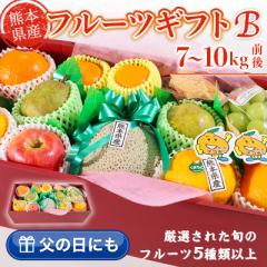 t[cMtgB ʕlߍ킹 I7~10kgO F{Y  ̓  v[g 蕨 Mtg bZ[WJ[h { 