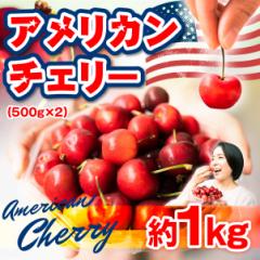  AJ`F[ 1kg  ̓  v[g  Mtg 蕨 Z Â yY  N[
