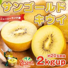 LEC TS[hLEC 2kgup 20ʑO j[W[hY  [Xv ̓  H [Og  Mtg N[