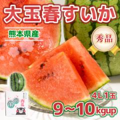  F{Y Gi ʏtXCJ 1 4L 9-10kgup ̓   W[V[ e  Mtg v[g 蕨 yY 