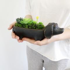 y悠zMtgbsO CeAG  u  _bNXth AWt[ NVbN Mtg AeB[N 