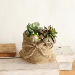 y悠zMtgbsO Jo[  v^[|bg  JG S |bgJo[  AؔJo[ 킢 