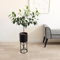 y 悠zX^hv^[ Vv _ CeA rO  ACA k  Vz ԑ zeCN a