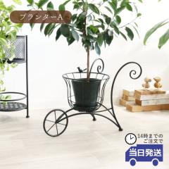 y 悠zJo[ v^[A  킢 CeA t[x[X  t[X^h ACA Ԋ Ae