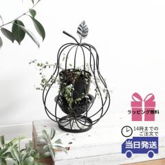 y 悠 MtgbsOz v^[ miV^ ACA  킢 CeA t[x[X  Ԋ A