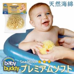 Baby Buddy xr[ofB i` oX X|W Sea Wooliv~A\tgj VRCȃX|W(C CObY  {f