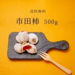 ` sc` 쌧Y Ղ 500g [ Ɨp   lC ` ق ق`   hCt[