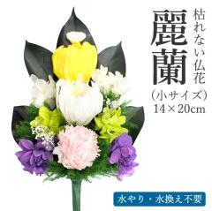 �_�|�C���g�����ՊJ�Ò��^�͂�Ȃ����ԁ@�헖�i�ꂢ���j ���T�C�Y�@�i�Ԋ�t�j [ ���� �v���U�[�u�h�t�����[ �͂�Ȃ� �������s�v ��