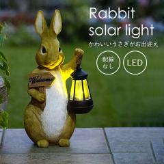 �\�[���[���C�g ���O �h�� ������� �u���^ �K�[�f�����C�g ��̃��C�g �\�[���[ LED ���킢�� ���� ������ ���r�b�g �����v �\�[���[�p