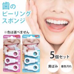 ���̃s�[�����O�X�|���W 3�~5�Z�b�g